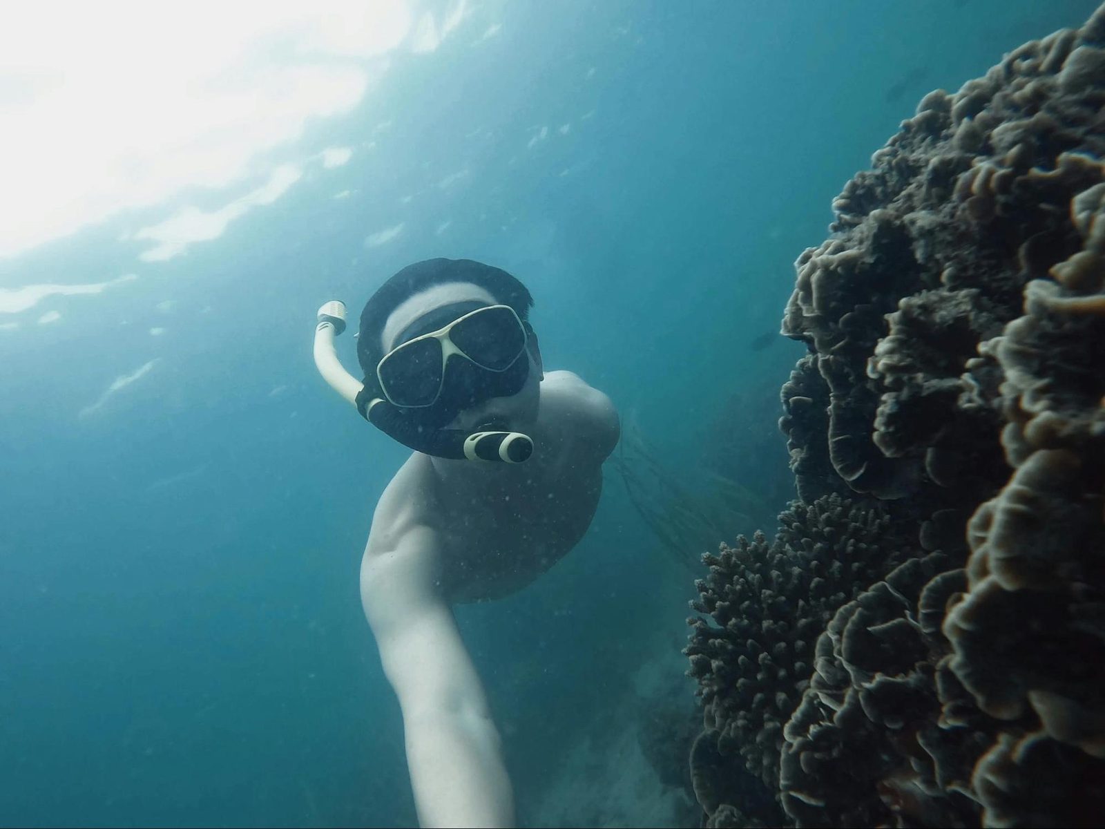 Snorkeling the West Coast's underwater paradise.