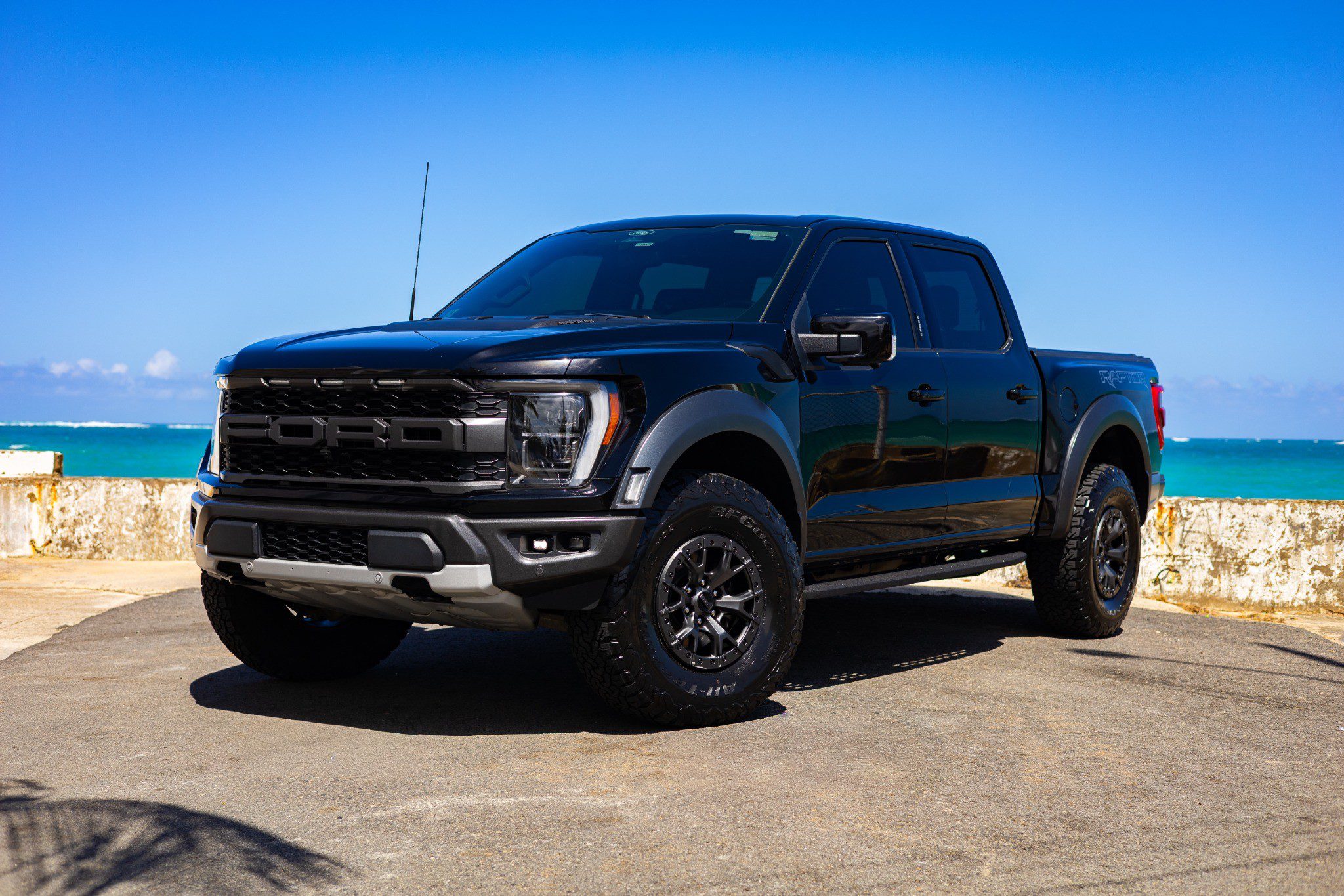 raptor_compressed_under_1mb